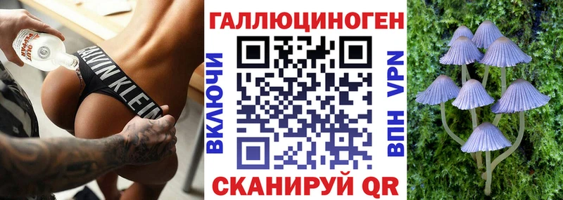 где продают наркотики  МЕГА вход  Псилоцибиновые грибы Magic Shrooms  Одинцово 